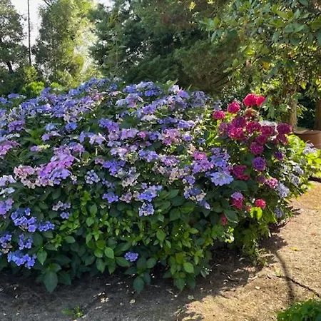 Venkovský dům La Cigogne *